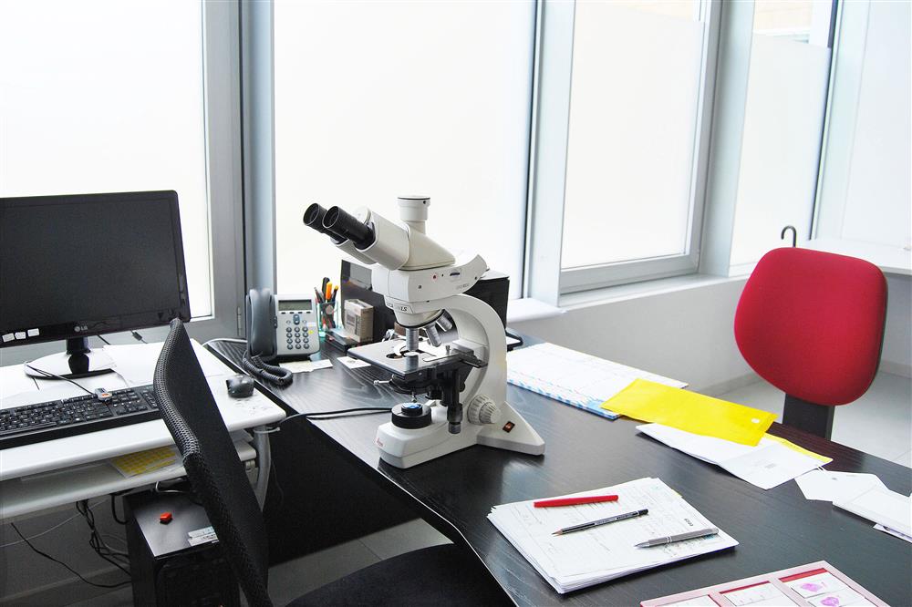 Laboratorio LePleiadi