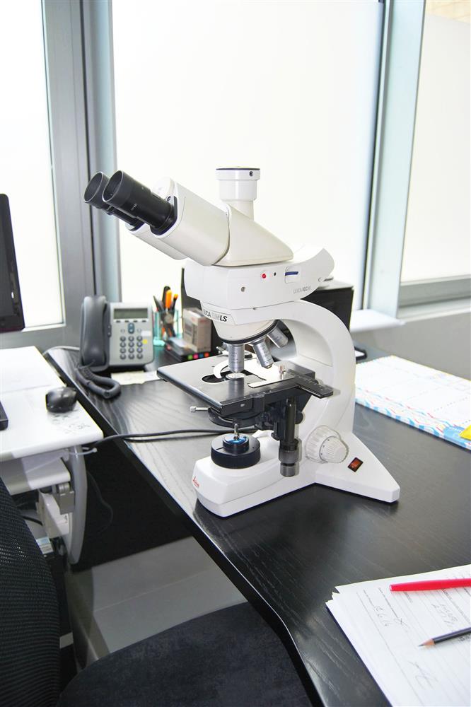 Laboratorio LePleiadi