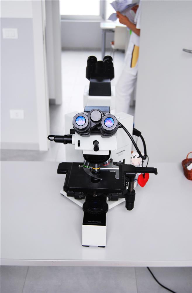 Laboratorio LePleiadi