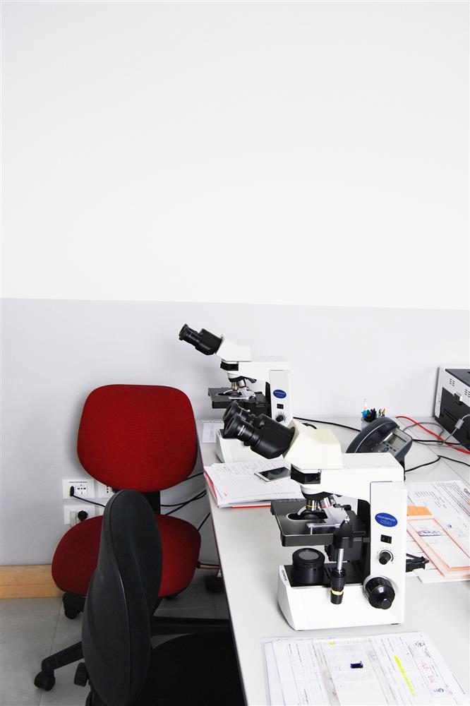 Laboratorio LePleiadi