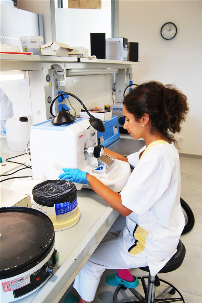 Laboratorio LePleiadi