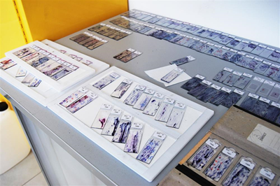 Laboratorio LePleiadi