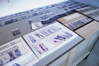 Laboratorio LePleiadi