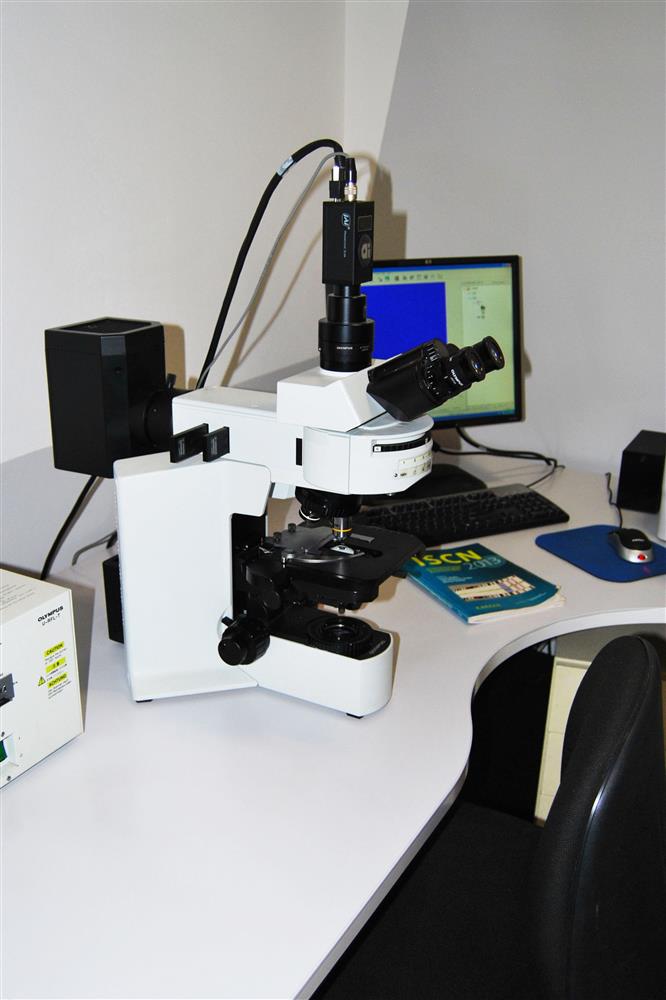 Laboratorio LePleiadi